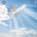 cedsands.gumroad.com