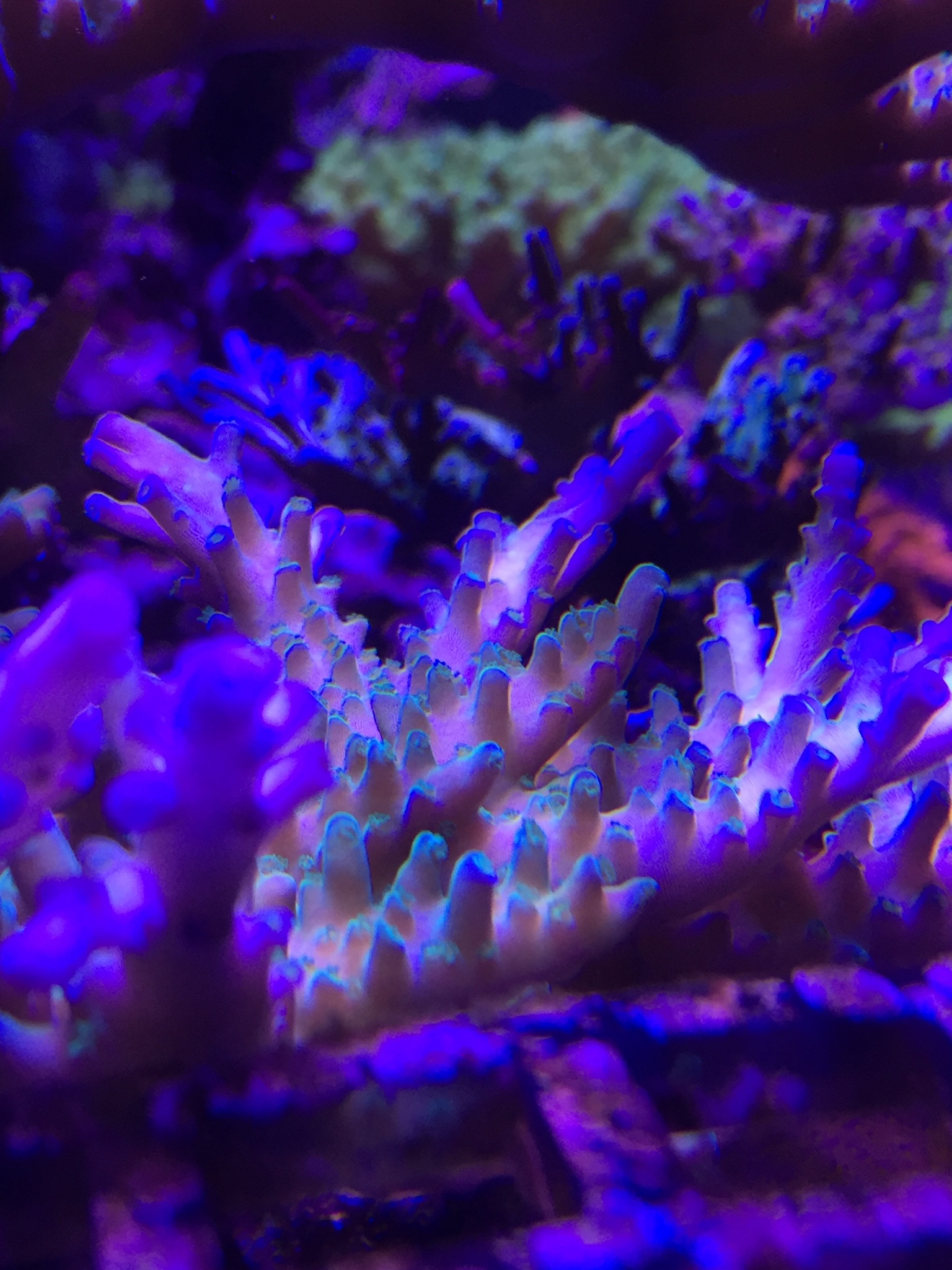 f649a3d15b3aafeef5c60f0425eabbab.jpg