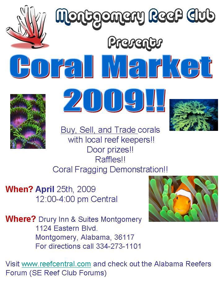 MRC-2009-Coral-Market.jpg