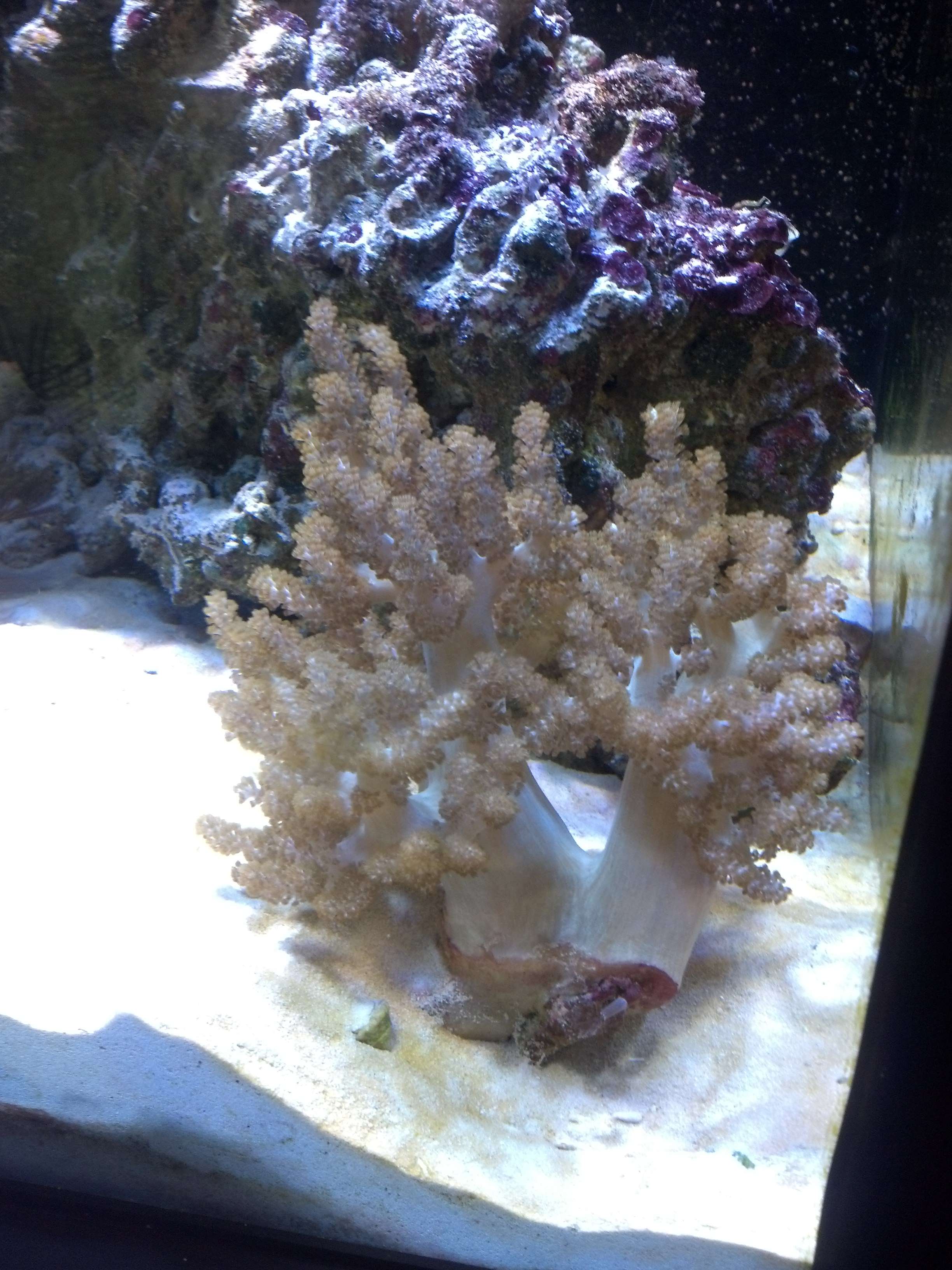 img20130606184040245.jpg