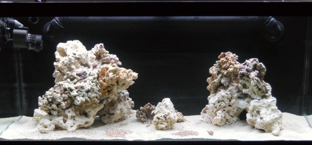 new%20tank%20marco%20rock.jpg