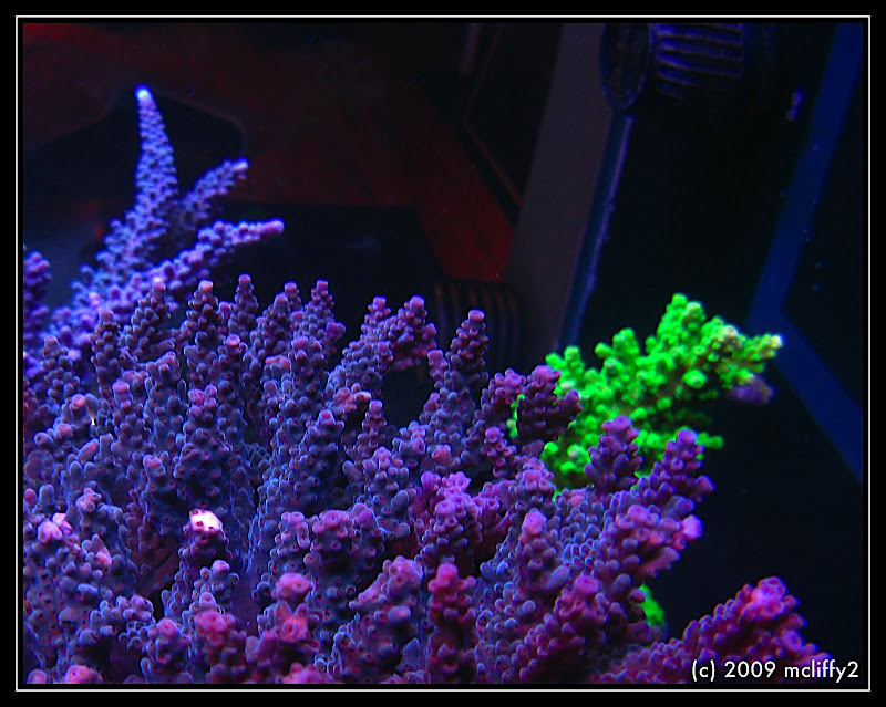 IMG_2718%20-%202009-05-18%20at%2022-34-34.jpg