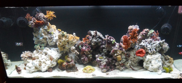 new%20tank%20FTS%2025%20Apr%2010.jpg