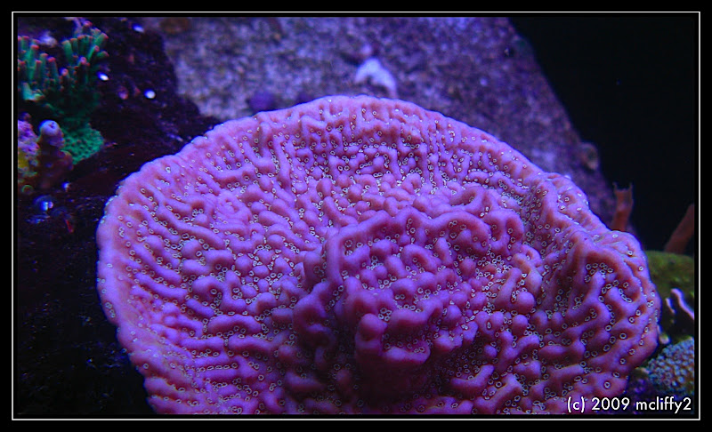 IMG_2727%20-%202009-05-18%20at%2022-37-47.jpg