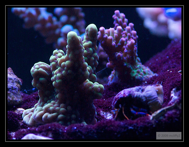 IMGP3688%20-%202009-02-24%20at%2022-51-27.jpg