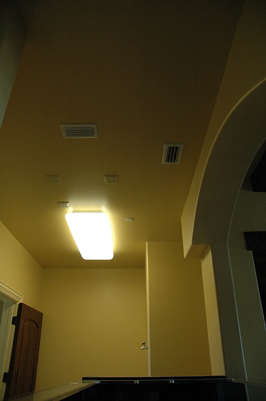 dudester_ceiling.jpg