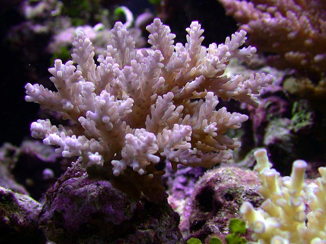 DSCN3117.jpg