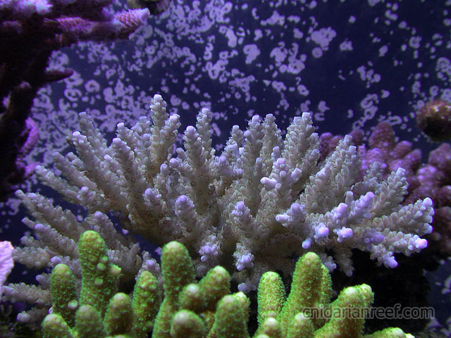 DSCN4178.jpg