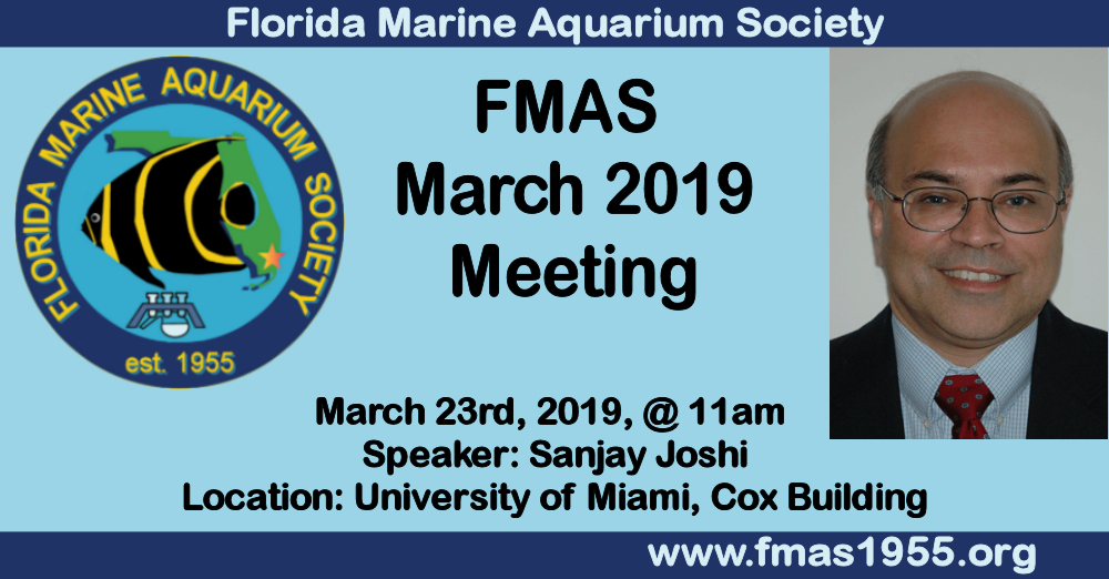 FMAS-FB-March-2019.jpg