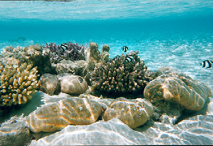 lagoon-.jpg