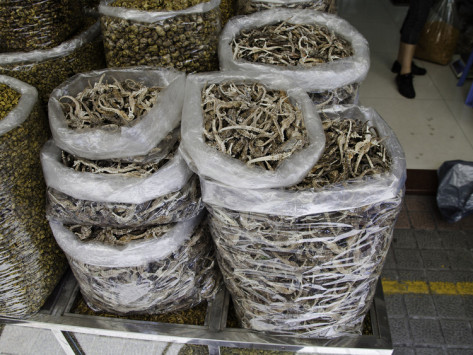 david-fleetham-plastic-bags-full-of-dried-seahorses-for-sale-at-a-traditional-medicine-shop-in-guangzhou-china.jpg