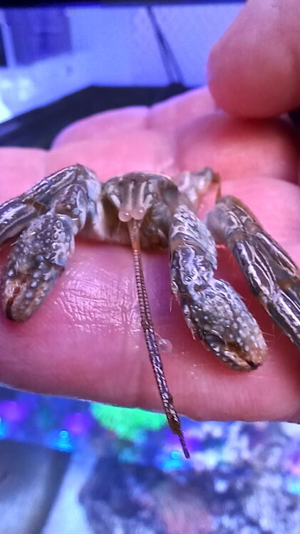 Abby's 20250421_180733.jpg Abby's 20250421_180733.jpg