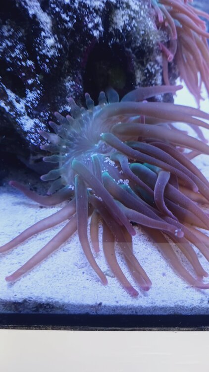 Abby's 20250421_183927.jpg Abby's 20250421_183927.jpg