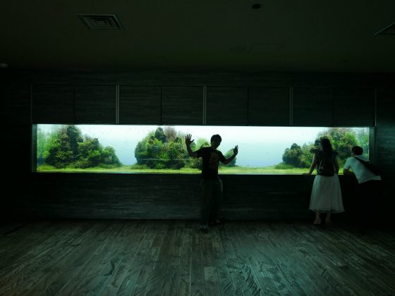 How-Large-an-Aquarium-can-my-floor-support--560x420.jpg