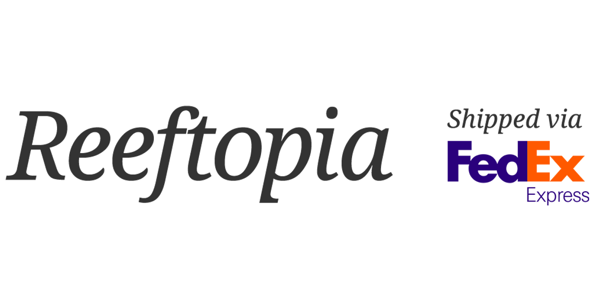 reeftopia.com