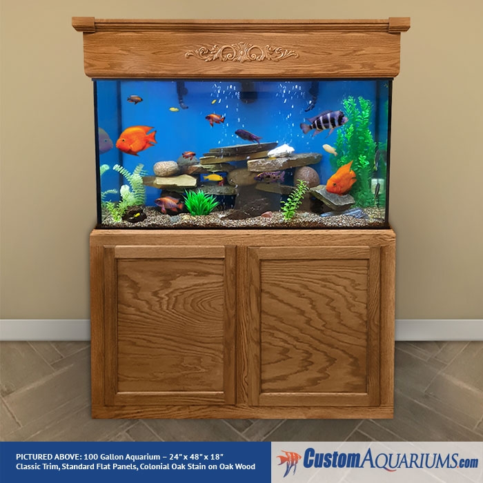 www.customaquariums.com
