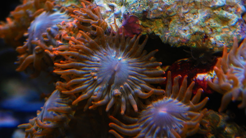 sm100_0031.jpg