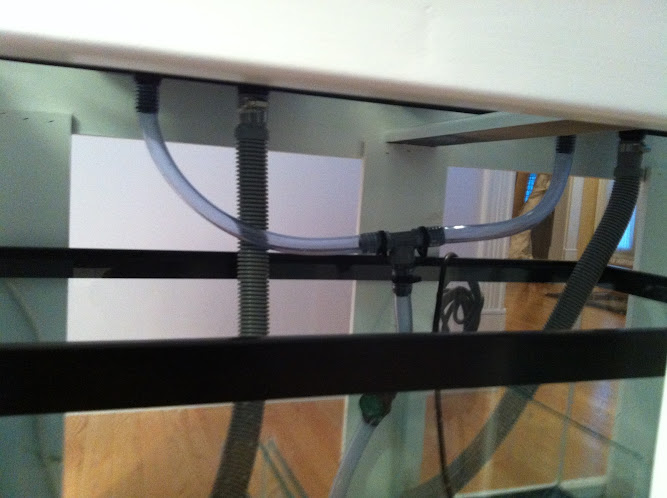 20121126+005.JPG