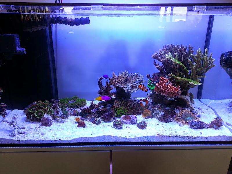 20141207_104353.jpg