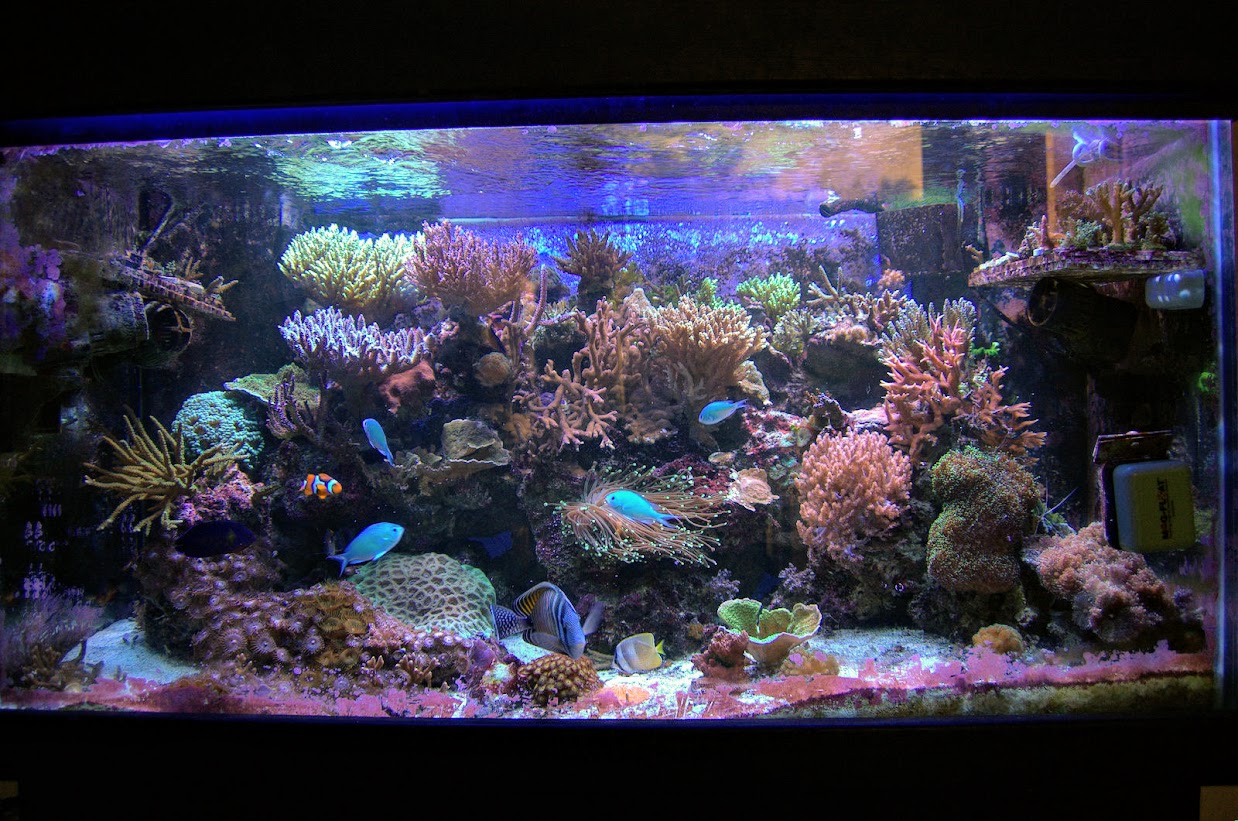 DSC_0791.jpg