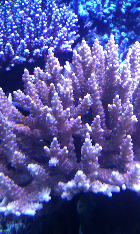 Picture%20127.jpg