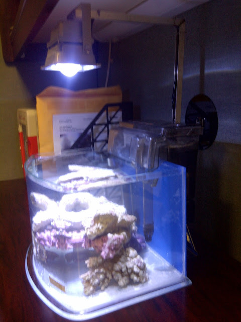 IMG-20130115-03900.jpg