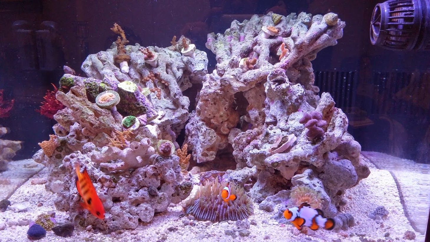 20141222_210612_HDR.jpg