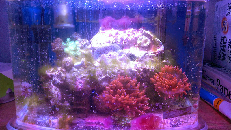 IMAG4307.jpg
