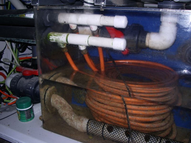 Picture%20tank%207-10%20100.jpg