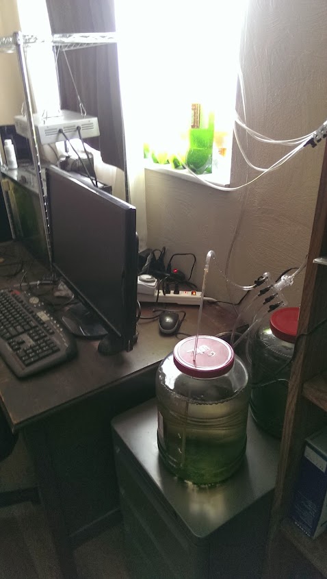 IMAG0244.jpg