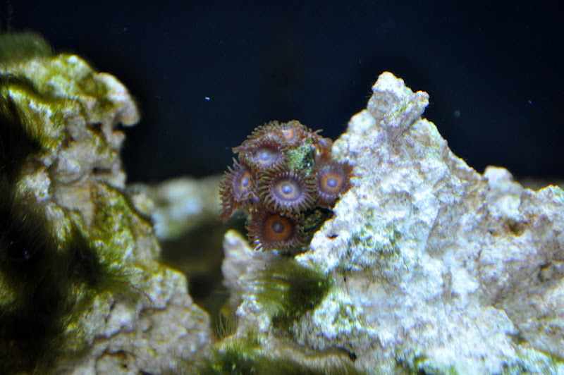 DSC_0304.JPG