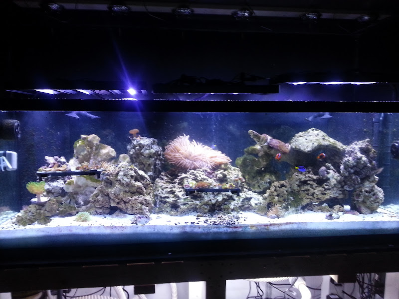 20130403_185222.jpg