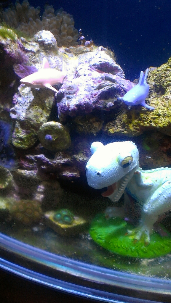 IMAG0010.jpg