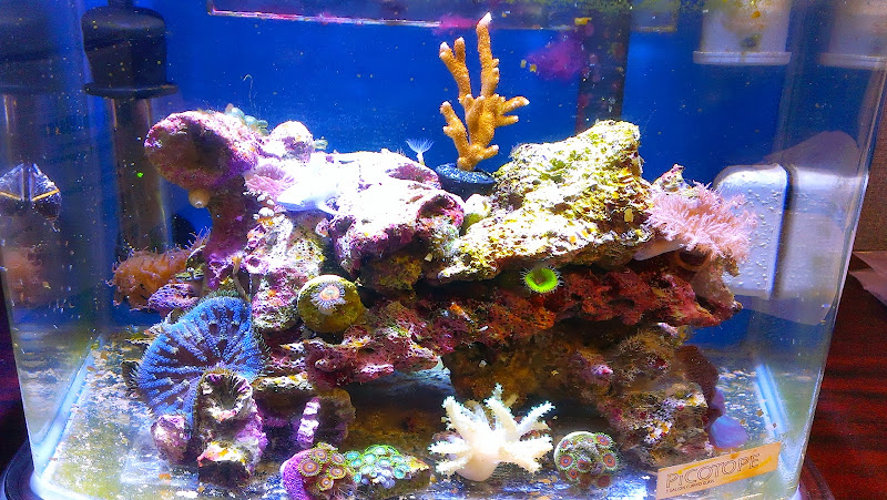 IMAG0731.jpg