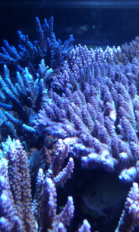 Picture%20140.jpg