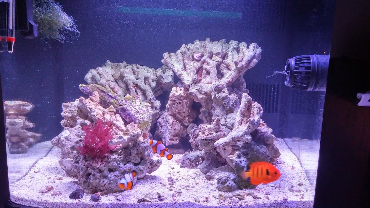 20141113_183949_HDR.jpg