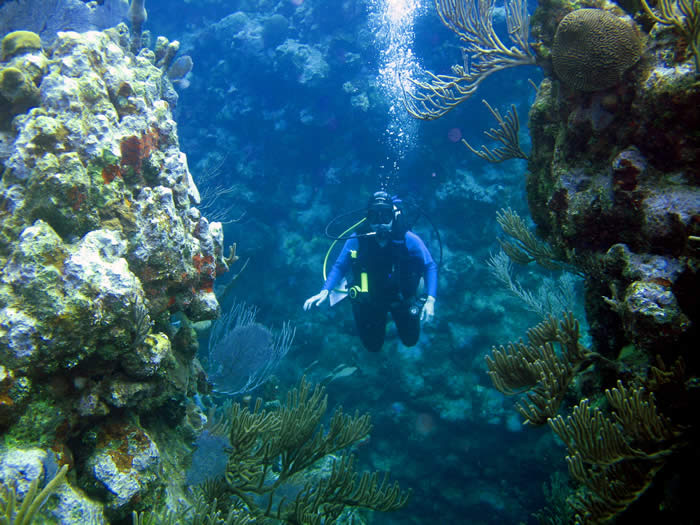 Mindy-Scuba-Diver.jpg