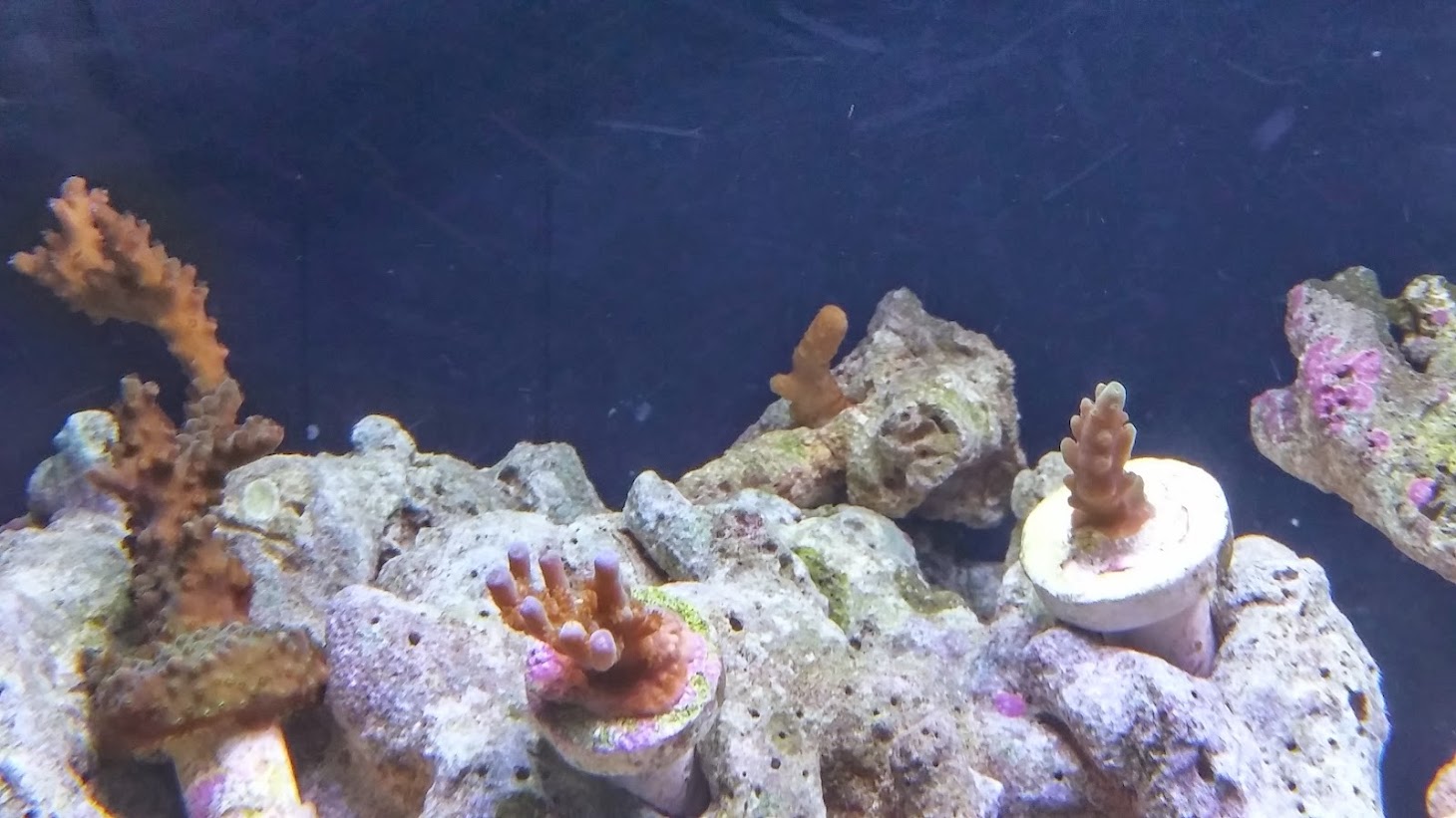 20141227_153352_HDR.jpg