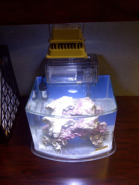 IMG-20130115-03896.jpg