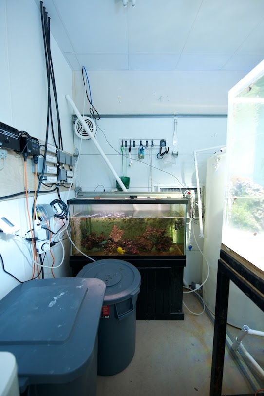 fish-room+2.jpg