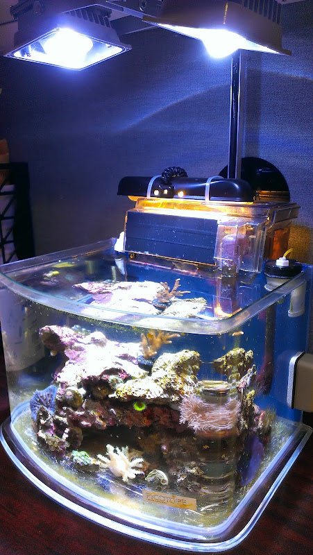 IMAG0676.jpg