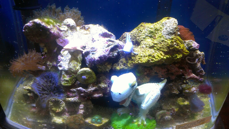 IMAG0011.jpg