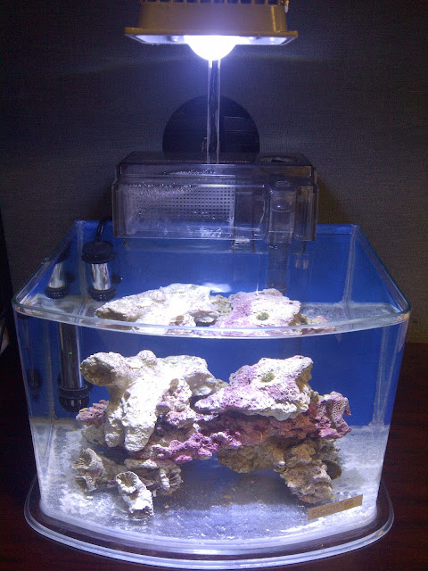 IMG-20130118-03916.jpg
